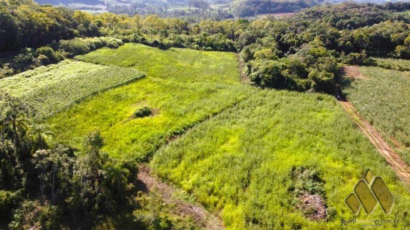 Área de terras na Linha João Alves