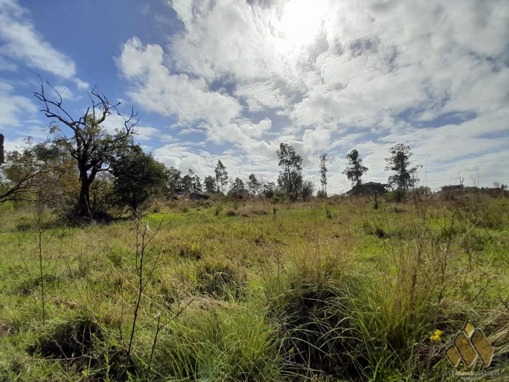 Chácara Cerro Alegre Alto